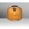 Besa Lighting Niles 10 Ceiling, Amber Bubble, Bronze, 1x60W Incandescent NILES10AMC-BR - alternate 1